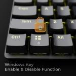 Zebronics Nitro Plus Mechanical Keyboard